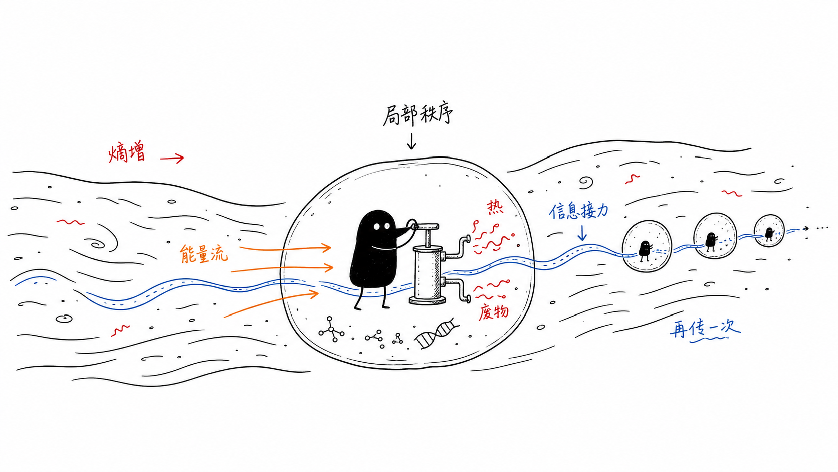 局部奇迹 正文配图