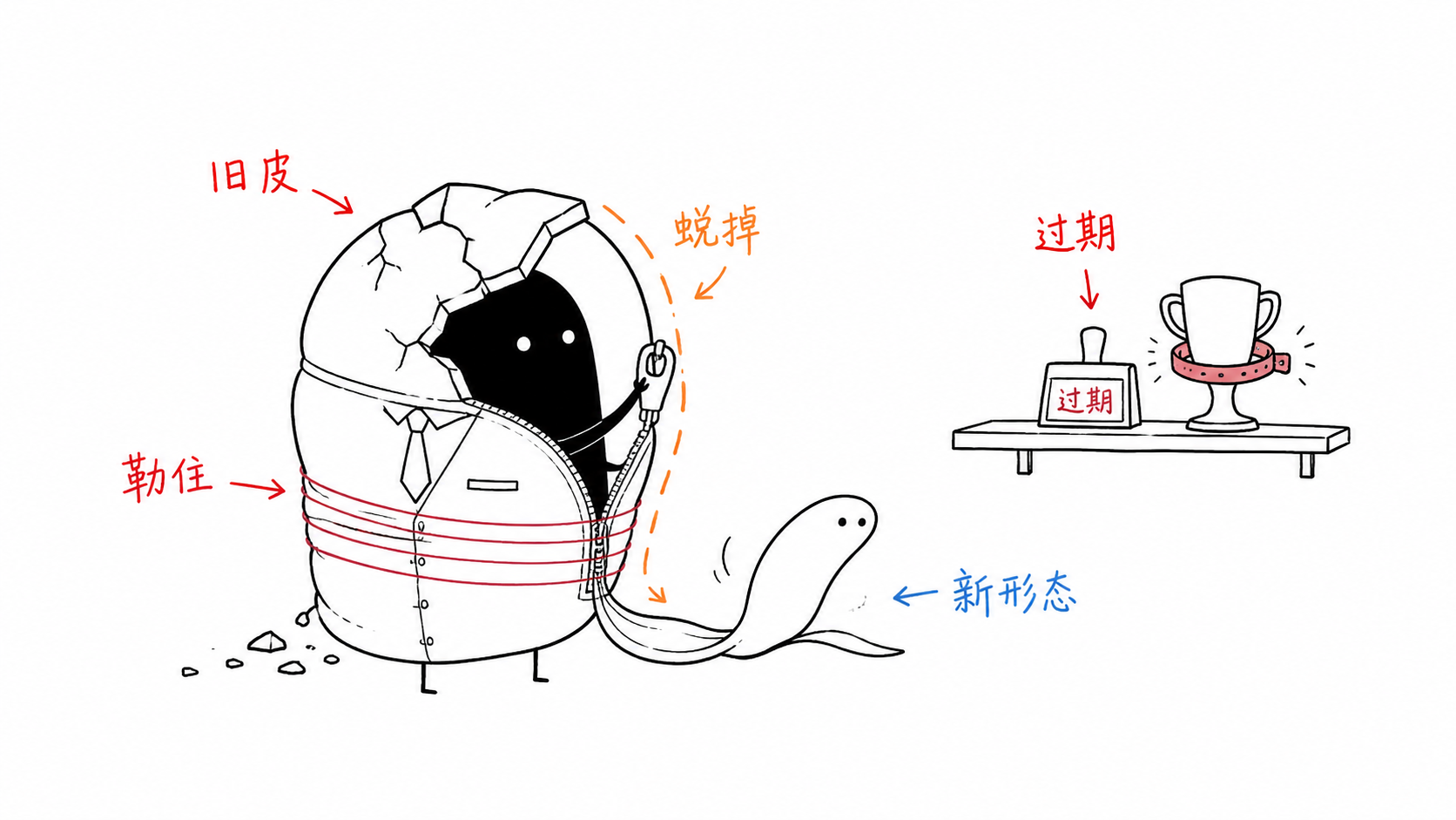 成功的保质期 正文配图