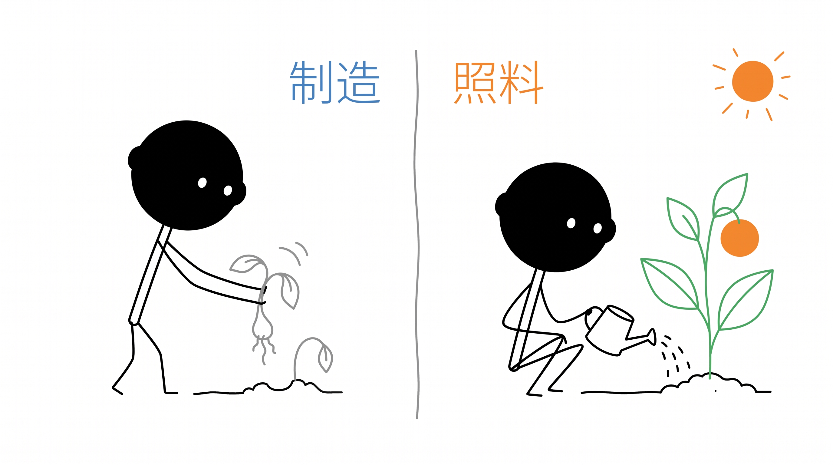 照料条件 正文配图